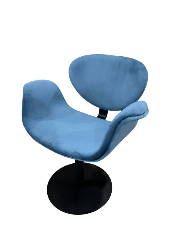 blue velvet chairs