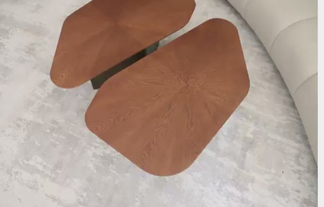 Set of 2 Mauricio Nesting Coffee Table Set