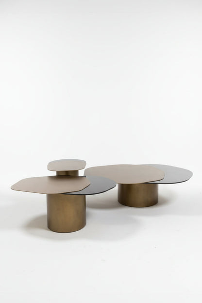 irregular shaped coffee table set