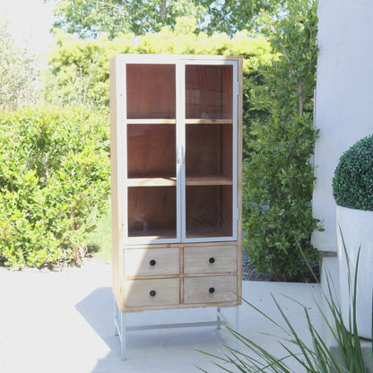 Alina 2 Doors Glass Tall Accent Cabinet