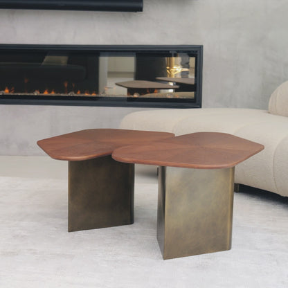 Set of 2 Mauricio Nesting Coffee Table Set