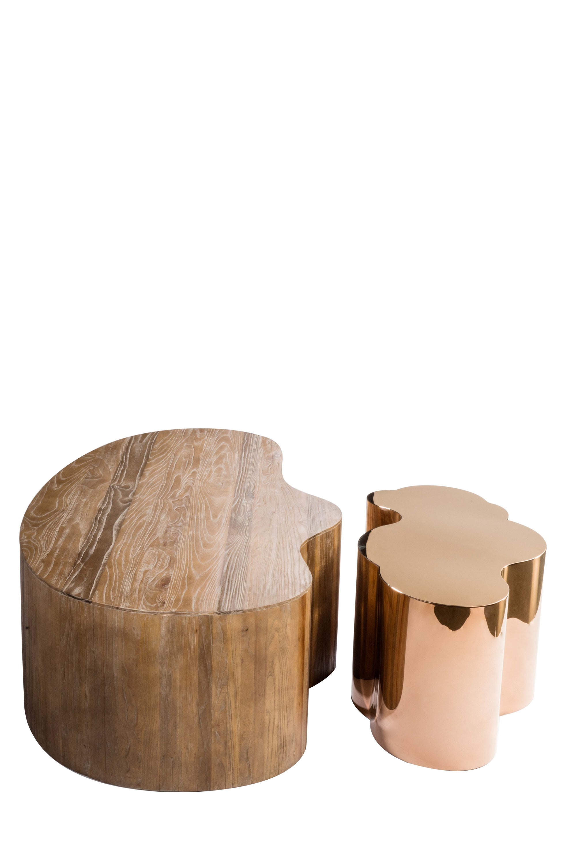 organic modern living room table 