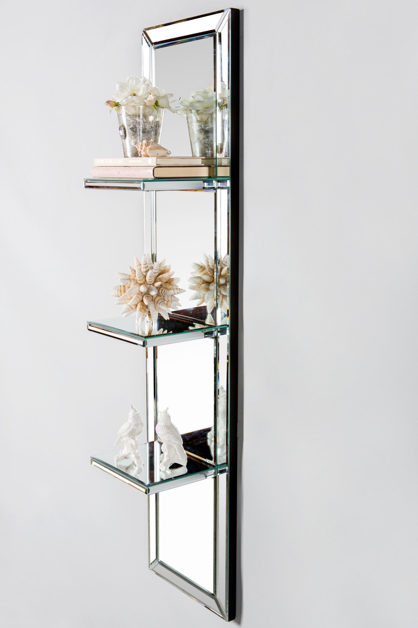 mirrored shelves